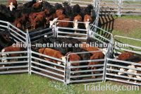 Sell Livestock fence