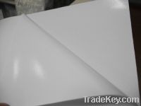 Sell Self adhesive vinyl