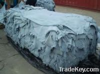 Wet Blue Cow Hide