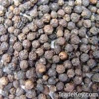 Black Pepper