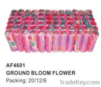 Sell Ground Bloom Flower