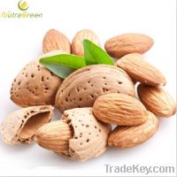 Sell Almond Extract Powder 5:1 10:1