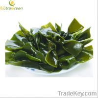 Sell Brown Seaweed Extract Fucoidan85%Carbohydrate60%Organic SO42-20%