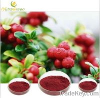 Sell Cranberry Powder Extract Anthocyanidins 25% UV