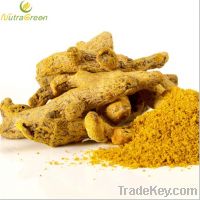 Sell Curcumin Powder Extract 5:1