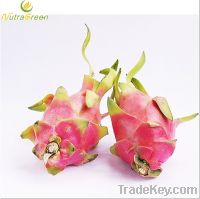 Sell Dragon Fruit Powder Extract 10:1