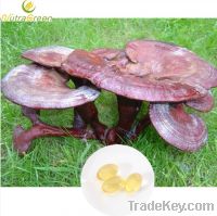 Sell Ganoderma Lucidum Spore Oil Softgel 0.50G/0.35G