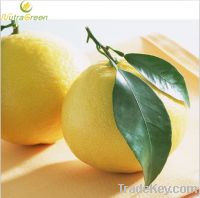 Sell Grape Fruit Powder Extract Bioflavonoides 50% UV
