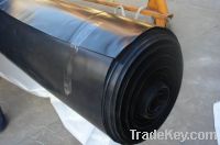 Sell 4m - 8m HDPE, LDPE waterproofing wide coil Geo membraes