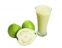 Sell High quality Fresh/pure/delicious Aseptic Guava Puree