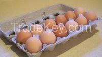 FRESH EGGS WHITE AND BROWN AVAILABLE