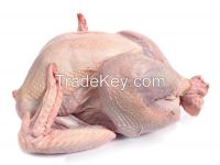 Frozen whole turkey  and parts ( breast, drumstick, leg, neck, ground available )