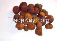 Cow /Ox Gallstones for sale  100% whole stones, 90/10, 80/20/70/30, 60/40, 100% broken stones