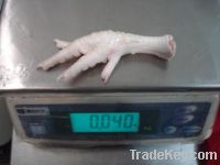 Export Chicken Paw | Chicken Feet Suppliers | Poultry Feet Exporters | Chicken Feets Traders | Processed Chicken Paw Buyers | Frozen Poultry Paw Wholesalers | Low Price Freeze Chicken Paw | Best Buy Chicken Paw | Buy Chicken Paw | Import Chicken Paw | Chi