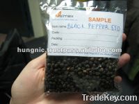 Sell Pepper 550 g/l