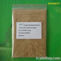 Sell animal feed additive Bacillus Subtilis for poultry