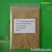 Sell animal feed additive Bacillus Subtilis for poultry livestock fish