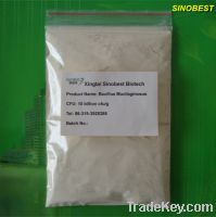 Bio fertilizer Bacillus Mucilaginosus fertilizer Potassium bacteria