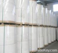 Sell Thermal paper jumbo roll