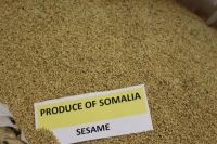 Natural Sesame Seeds