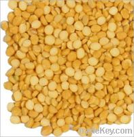 Sell  organic chana dal