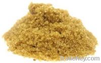 Sell Organic Light Brown Sugar