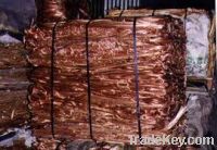 Copper Wire Scraps Suppliers | Copper Scrap Exporters | Copper Scrap Manufacturers | Cheap Copper Scrap | Wholesale Copper Scraps | Discounted Copper Scrap | Bulk Copper Scraps | Copper Scrap Buyer | Import Copper Scrap | Copper Scrap Importers | Copper S