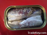 Canned sardines