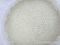 Sell calcium hypochlorite