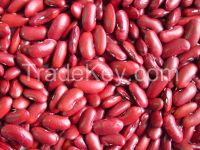 Red /White Kidney Beans