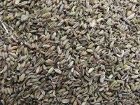 Fennel seeds