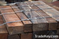 Sell Red Rosewood(Dalbergia Retusa)  from Costa Rica