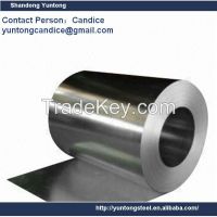 Galvanized Steel Coil SGCC