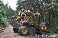 Sell timber/wooden boards Poland