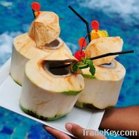 Fresh Young Coconut