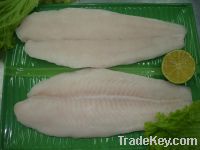 Pangasius Fillet