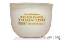Sell Red snapper pure collagen protein powder