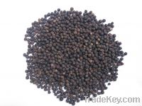 Sell VIETNAM PEPPER