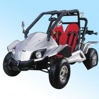 Sell 250cc EEC/EPA Racer Go Kart (HDG250E-R)