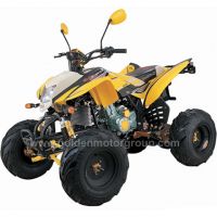Sell 200, 250cc EEC ATV (HDA200EC-S)