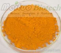 Sell Macleaya Cordata Extract - Sanguinarine