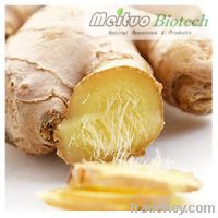 Sell Ginger Extract - Gingerols