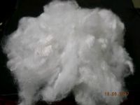 Sell Synthetic Staple Fibres