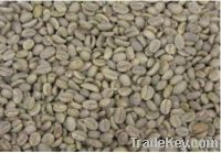 Export Coffee Beans | Arabica Coffee Beans Suppliers | Robusta Coffee Beans Exporters | Coffee Bean Traders | Wholesale Instant Coffee | Buy Coffee Beans | Bulk Coffee Bean | Green Coffee Bean Buyer | Low Price Roasted Coffee Bean | Import Coffee Bean | C