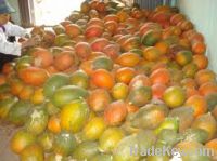 Sell Momordica cochinchinensis fruit