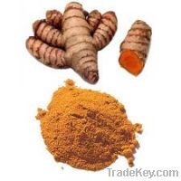 Sell Turmeric Powder