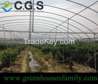 Sell Plastic Commercial Vegetable Greenhouse