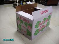 Wax Vegetable Carton