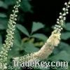 Sell Black cohosh Extracts