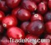 Sell Cranberry Extract